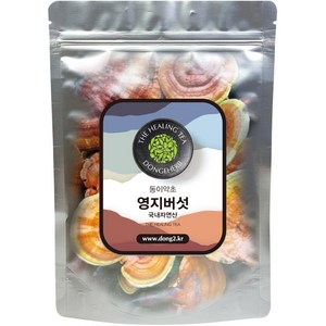 동이약초 자연산 영지버섯 통, 250g, 1개