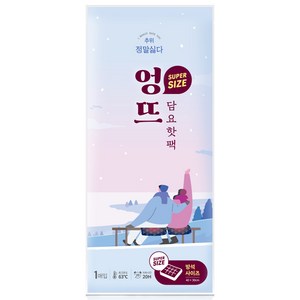 정말싫다 추위 방석 핫팩 540g, 1개