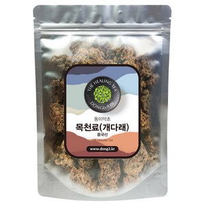 동이약초 개다래 충영, 150g, 1개