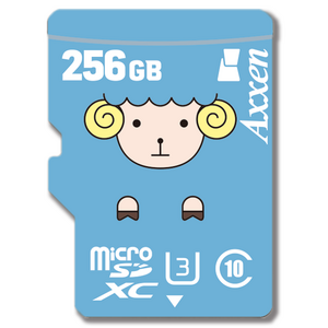 액센 PREMIUM 뚱글이 마이크로 SD카드 MSD11, 256GB, 1개