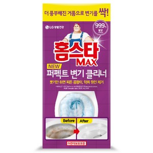 홈스타 맥스 퍼펙트 변기 클리너, 540ml, 1개