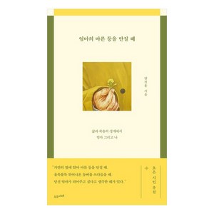 엄마의 마른 등을 만질 때:삶과 죽음의 경계에서 엄마 그리고 나, 수오서재, 양정훈