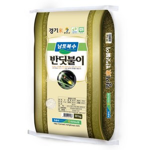 연천농협 2024년산 햅쌀 경기미 반딧불이쌀 대안미 특등급, 10kg, 1개