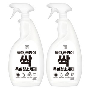 생활공식 물때 곰팡이 싹 욕실청소세제, 2개, 600ml