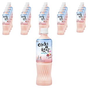 아침햇살 고구마, 500ml, 20개