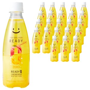 레디큐 커큐민 제로 스파클링 워터, 350ml, 24개