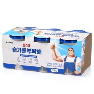 홈스타 습기를 부탁해 제습제, 275g, 3개