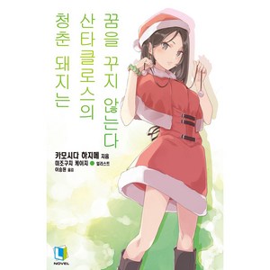 청춘 돼지는 산타클로스의 꿈을 꾸지 않는다 13권, 디앤씨미디어(D&C미디어), 카모시다 하지메