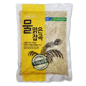 물맑은양평 청운농협 찰보리, 1kg, 1개