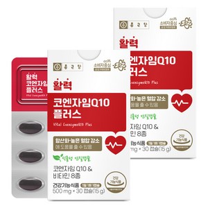 종근당 활력 코엔자임Q10 플러스 15g, 2개, 30정