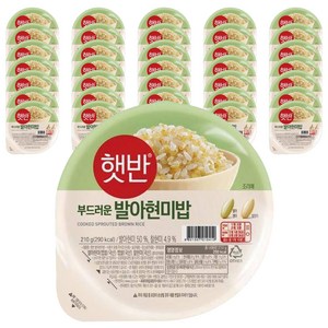 햇반 발아현미밥, 210g, 36개