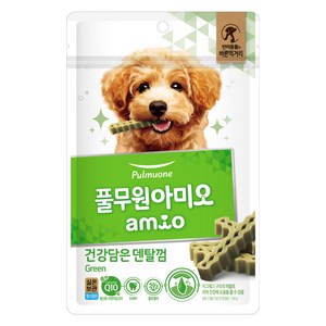 아미오 강아지 건강담은 간식 덴탈껌 그린, 100g, 1개, 닭고기 맛