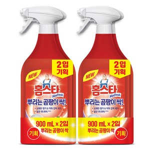 홈스타 뿌리는 곰팡이 싹 세정제, 2개, 900ml