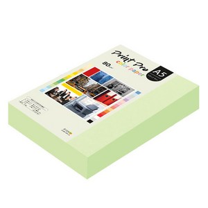 종이문화 프린트 프로 칼라 복사용지 No 13 에메랄드 80g, A5, 500개