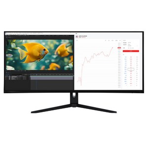 인터픽셀 5K WUHD NANO IPS 75Hz 높이조절 모니터, 100.859cm, IPU4010(무결점)