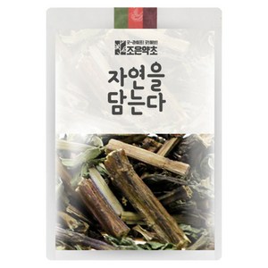 조은약초 박하, 100g, 1개입, 1개