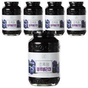 초록원 블루베리잼, 1kg, 5개