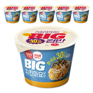 햇반컵반 BIG 치킨마요덮밥, 313g, 6개