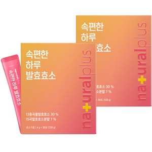 내츄럴플러스 속편한 하루 곡물 발효효소 30p, 120g, 2개