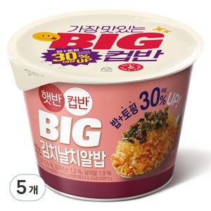 햇반컵반 BIG 김치날치알밥, 263g, 5개