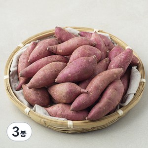 맛젤 해남 호박고구마(한입), 1.5kg, 3봉