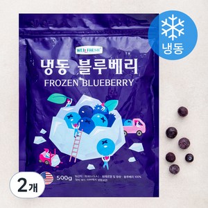 웰프레쉬 미국산 블루베리 (냉동), 500g, 2개