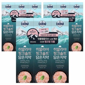 히말라야핑크솔트 담은 치약 튜브형 아이스, 100g, 9개