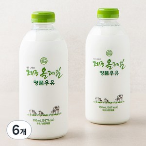 제주 올레길 명품 우유, 900ml, 6개