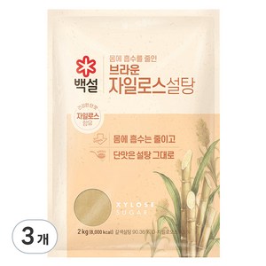 백설스위트리 자일로스 갈색설탕, 3개, 2kg