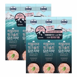 히말라야핑크솔트 담은 치약 튜브형 아이스, 100g, 6개