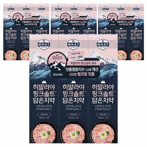 히말라야핑크솔트 밤부솔트 담은 치약 플로럴, 12개, 100g