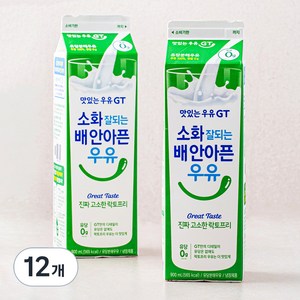 남양유업 맛있는우유GT 소화가 잘되는 고소한 락토프리, 900ml, 12개