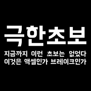 루키마켓 극한초보 차량용 스티커, 화이트, 1개