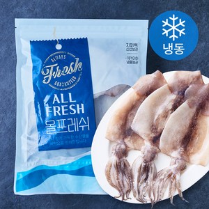 김씨밥 손질 오징어 (냉동), 500g, 1개