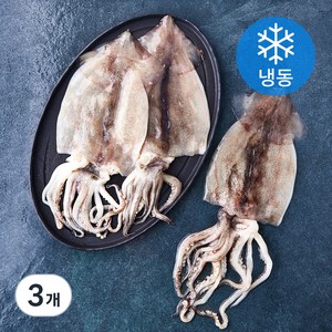 곰곰 손질 오징어, 400g, 3개