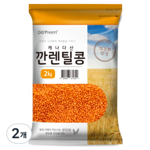 대구농산 깐렌틸콩, 2kg, 2개