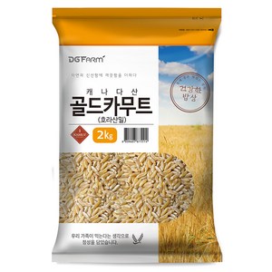 대구농산 건강한밥상 골드 카무트 호라산밀, 2kg, 1개