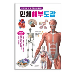 인체 해부 도감:한 권으로 내 몸 곳곳을 이해하는, 시그마북스, 미즈시마 아키히코