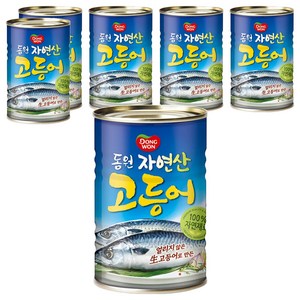 동원 고등어 통조림, 300g, 6개