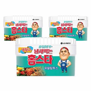 냄새먹는 홈스타 냉장고용 탈취제 유칼립투스, 420g, 3개