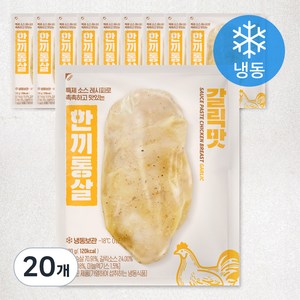 한끼통살 통살 닭가슴살 갈릭 (냉동), 100g, 20개