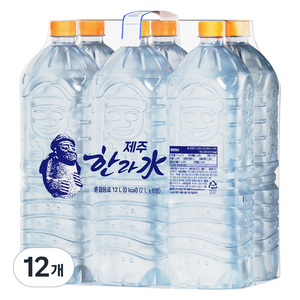 한라수 제주 무라벨, 12개, 2L