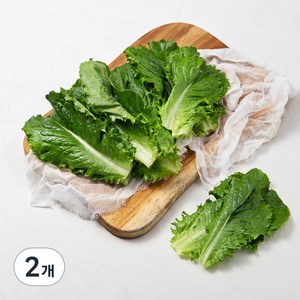 국내산 GAP 아삭한 청상추, 150g, 2개