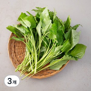 국내산 취나물, 200g, 3개