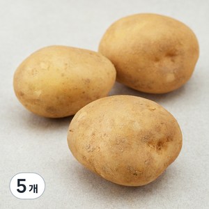 한끼 감자(햇), 350g, 5개