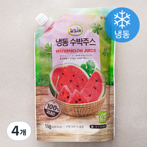 뉴뜨레 수박 주스 (냉동), 1kg, 4개