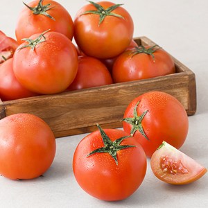 [로켓프레시] 광식이농장 완숙 토마토