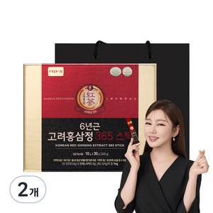 정원삼 6년근 고려홍삼정 365 스틱 선물세트 + 쇼핑백, 300g, 2개