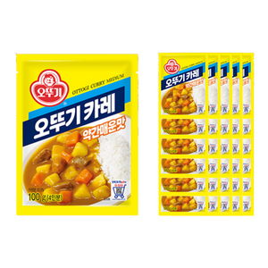 오뚜기 카레 약간매운맛, 100g, 40개