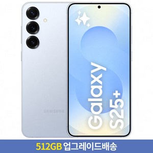 [256GB → 512GB 업그레이드] 갤럭시 S25+ 자급제 SM-S936N, 아이스블루, 256GB